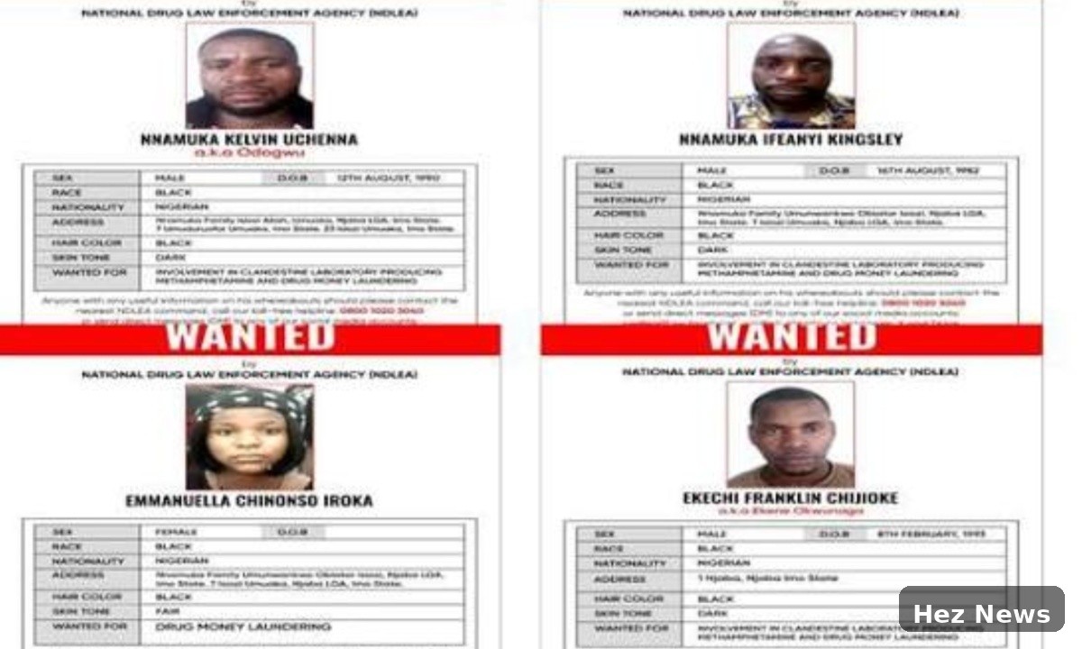 NDLEA Issues Wanted Notice for Drug Kingpin and Associates