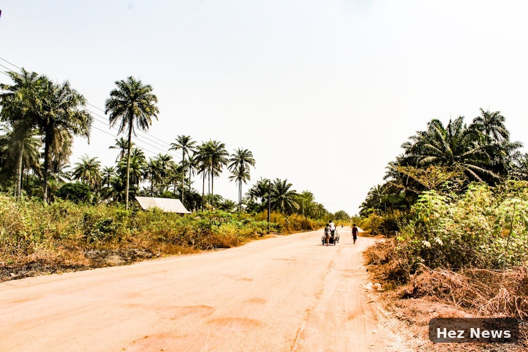 NALDA's Strategy to Reclaim Nigeria's Forest Reserves