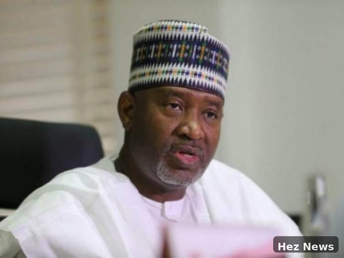 Sirika: Buhari Left Nigeria in a Flourishing State